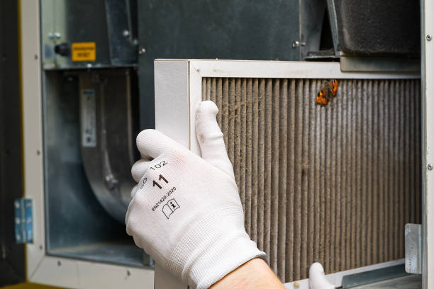 Best Ductwork Cleaning Services  in Timberlane, IL