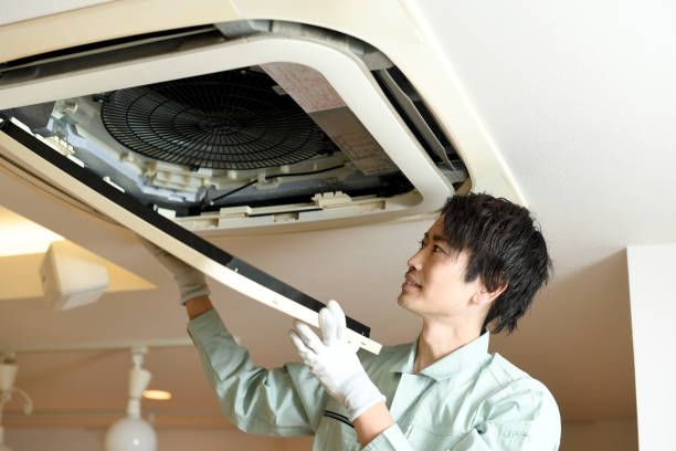Best Home Air Vent Cleaning  in Timberlane, IL