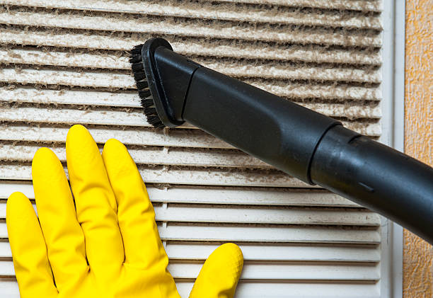 Best Air Duct Cleaning Company Near Me  in Timberlane, IL